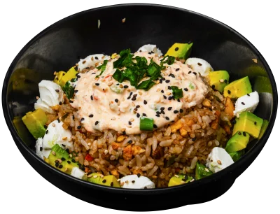 Special Yakimeshi